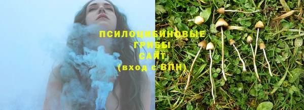 соль курить ск Алзамай