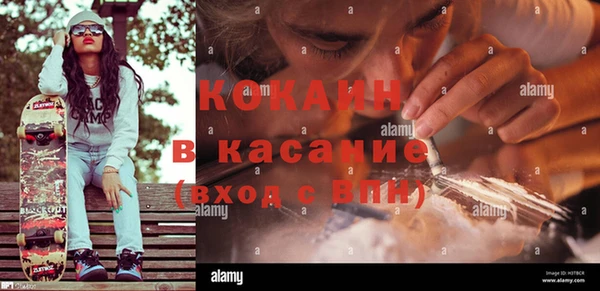 крисы Алексин