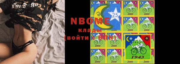 крисы Алексин