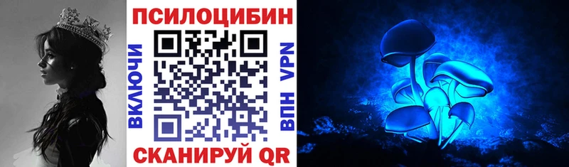 Галлюциногенные грибы GOLDEN TEACHER  мега вход  Чайковский  купить  сайты 